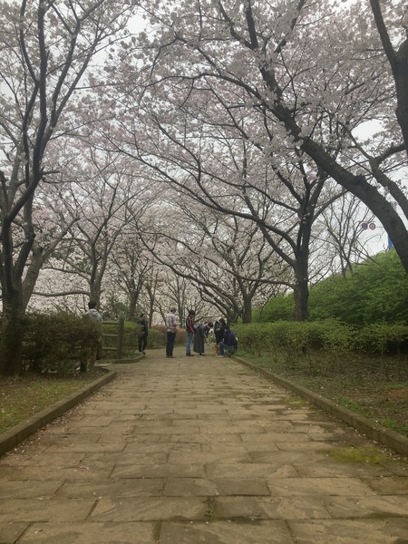 2024.03.31 西山下流ダム公園IMG_7747