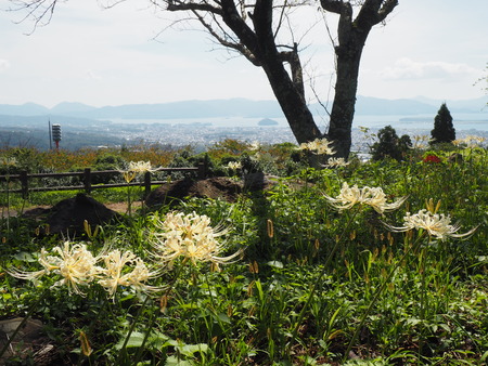 ��¼�ԡ���١�ȭ��������߲�P9241455