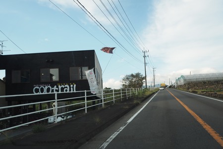 4−白木峰高原 コスモス畑 コントレイルPA110773