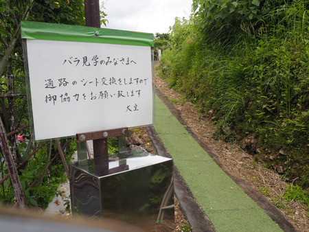 2024.05.11 諫早市大場町 大室さんのバラ園P5112975