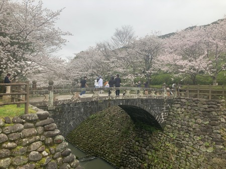 2024.03.31 西山下流ダム公園IMG_7694
