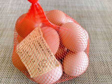 2023.02.07 ´ÒÁá»Ô¡¡¸Å²ìÍÜ·ÜIMG_3129