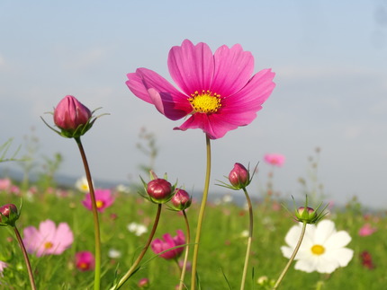 諫早湾干拓 長崎 諫早市民 ふくちゃんの食う 寝る 遊ぶ日記