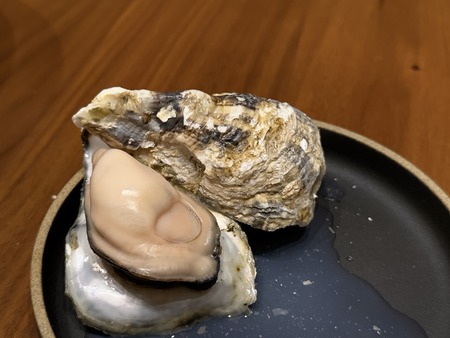 ����Ծ�Ĺ��Į�������ѵ���ľ��ŹIMG_8753