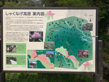 2025.07.19 ���᥷�㥯�ʥ��⸶IMG_1465