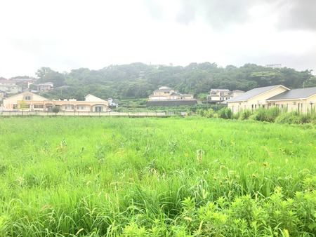 2025.08.10��ͭ��դ줢��������ΤҤޤ��IMG_1003