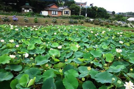 5-���������ϥ���DSC09783