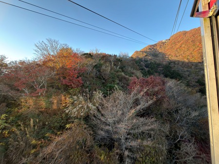 ��̯���ٻ�ĺ����IMG_3081