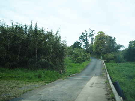 8-諫早市福田町 梅蓮P4190504
