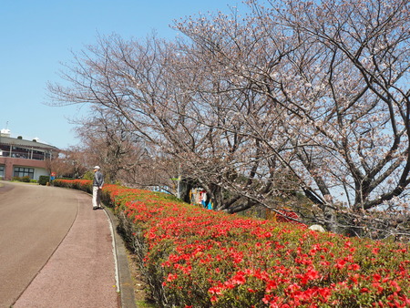 2024.03.30 多良見のぞみ公園P3290087
