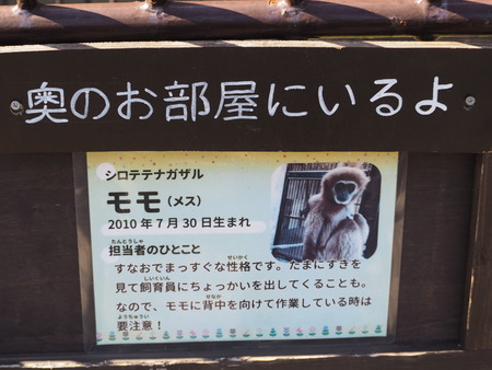 2021.11.14 �����ݻԡ��彽����ư��ʪ�ࡡ�������PB136508