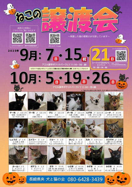 ëÝÁᡡǤξùÅϲñ_page-0001