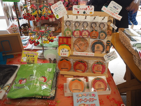 諫早市小長井町 山茶花高原P1161633