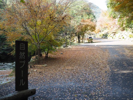 ����Թ���Į�����ή�������ס�������PB261645