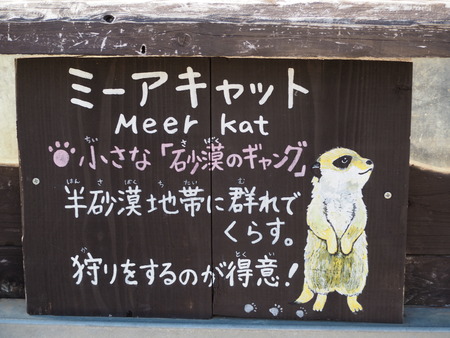 2021.11.14 �����ݻԡ��彽����ư��ʪ�ࡡ�������PB136405