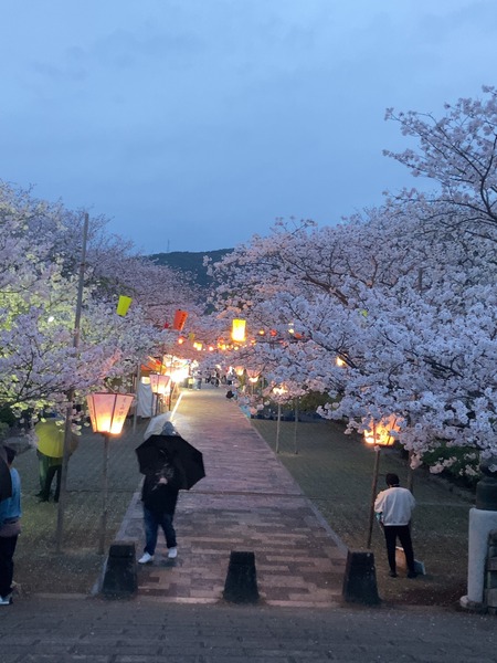 2024.04.03 雲仙市橘神社IMG_8547