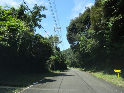 8-風の牧場DSC02436