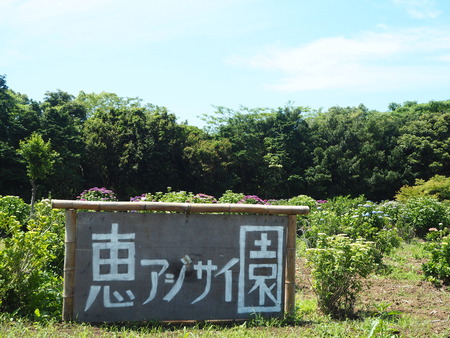 2021.05.28������Կ���Į���å���������P5232127