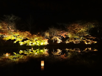 14-�������ڱ�DSC09655