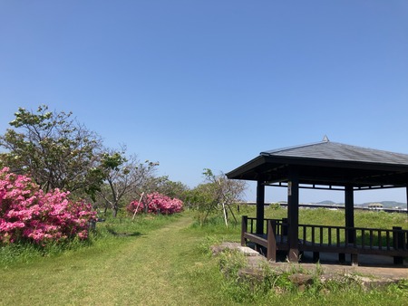 ����ԡ���������ŤĤߥ�����IMG_1152