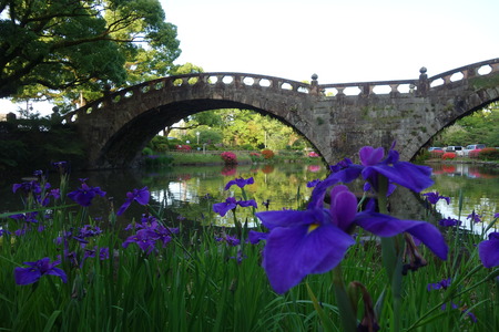 8-諫早公園DSC07350