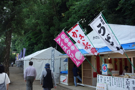 5-大村公園菖蒲DSC01331