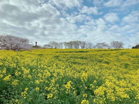 2022.03.29���������⸶IMG_3097