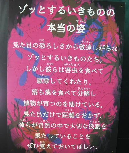2021.11.13 佐世保 森きらら ゾッとするいきもの展PB136357