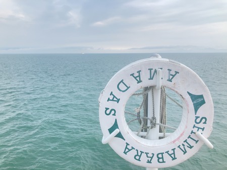 2024.10.19縶֥롼ѥ륹IMG_5710