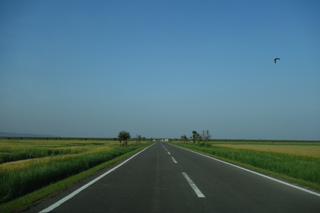 1-�����Ѵ���DSC03762