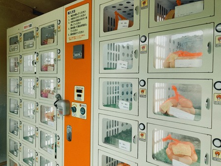 2023.02.07 ´ÒÁá»Ô¡¡¸Å²ìÍÜ·ÜIMG_3059