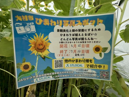 §Ã滳¤µ¤ó¤Î¡¢¤Ò¤Þ¤ï¤êȪIMG_5670
