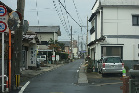 7−島原 柴犬DSC09229