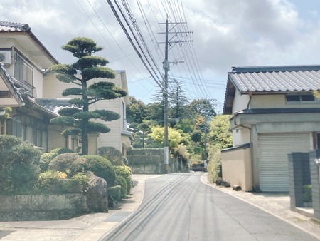 2022.04.13 Ĺ�����ΤĮ���Ų��ƣêIMG_4806