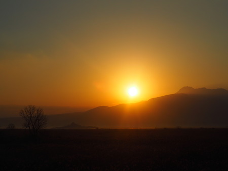 2023.01.01 諫早湾中央干拓P1013001