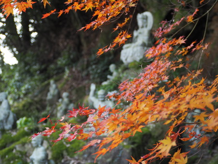 2021.11.21������ԡ�ŷʹ��PB187307