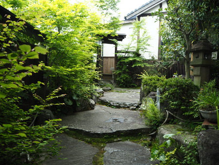 20−諫早市福田町 梅蓮P4190519