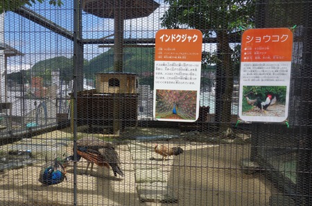 10-Ĺ���ưʪ�Ҥ���DSC09490