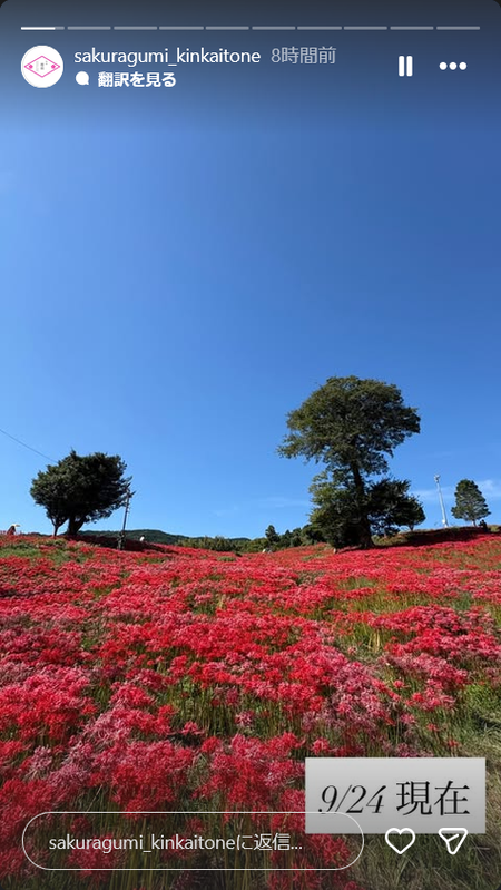 社が丘花園