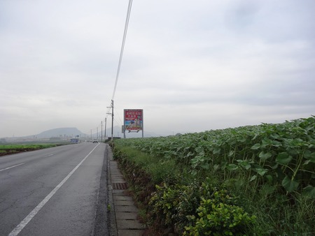 9-DSC03468