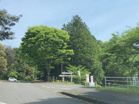 2025.07.19�����ὤ¿��ο�IMG_1199