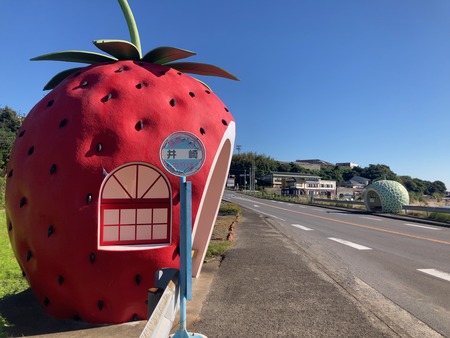 2024.11.09�����ե롼�ĥХ���IMG_8037