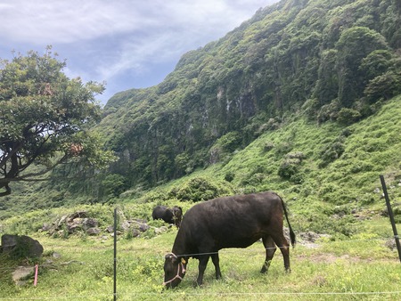 2023.05.04 平戸市生月 サンセットロードIIMG_7737