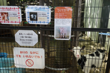 16-Ĺ���ưʪ�Ҥ���DSC09510