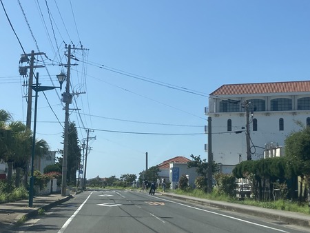 2023.06.12��Ĺ��ԡ��������ɥʥ�����IMG_0970