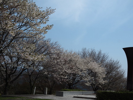 �������⸶�κ�P3271618