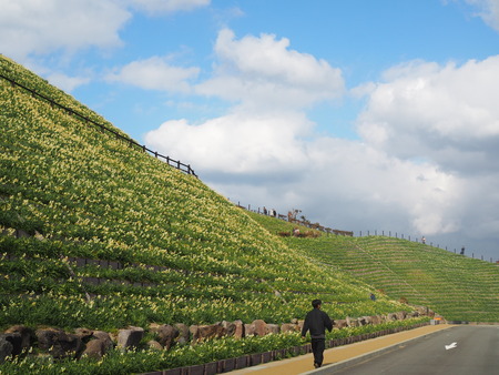 Ĺ�������ꡡ����ε֡���¦Ÿ˾��P1012023