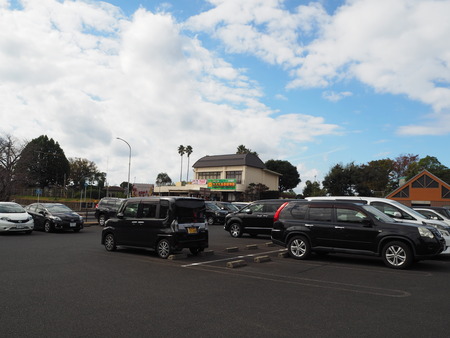 2021.11.14 �����ݻԡ��彽����ư��ʪ�ࡡ�������PB136143