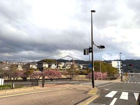 �׸�����β��ź�IMG_9912