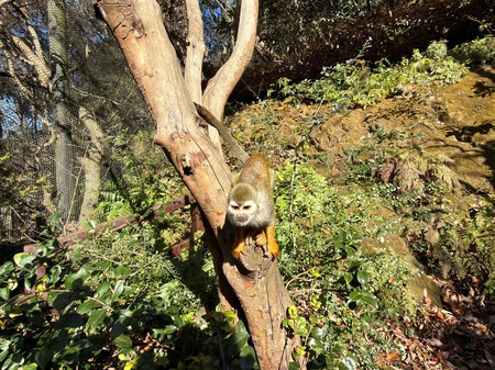 .Ĺ��Х����ѡ������ꥹ����IMG_0524